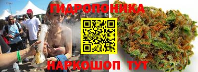 МДПВ Волжск